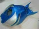Honda CBR 1000 RR 2006-2007 Motorrad Verkleidungen - Blau Silber Honda CBR 1000 RR 2006-2007 Motorrad Verkleidungen - Blau Silber