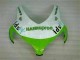 Honda CBR 1000 RR 2008-2011 Motorrad Verkleidungen - Grün Weiß