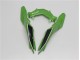 Kawasaki EX300 2013-2016 Motorrad Verkleidung - Grün Schwarz Kawasaki EX300 2013-2016 Motorrad Verkleidung - Grün Schwarz