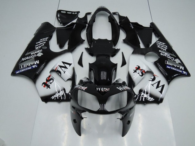 Kawasaki ZX12R 2002-2006 Motorrad Verkleidungen - West Kawasaki ZX12R 2002-2006 Motorrad Verkleidungen - West
