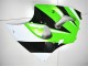 Kawasaki ZX6R 2000-2002 Motorrad Verkleidungen - Grün Weiß Schwarz