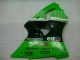 Kawasaki ZX6R 2000-2002 Motorrad Verkleidungen & Plastik - Grün Schwarz