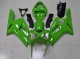Kawasaki ZX6R 2003-2004 Motorrad Verkleidung - Grün Kawasaki ZX6R 2003-2004 Motorrad Verkleidung - Grün