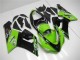 Kawasaki ZX6R 2005-2006 Motorrad Verkleidungen - Grün Kawasaki ZX6R 2005-2006 Motorrad Verkleidungen - Grün
