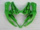 Suzuki GSXR 1000 K5 2005-2006 Motorrad Verkleidungen - Grün